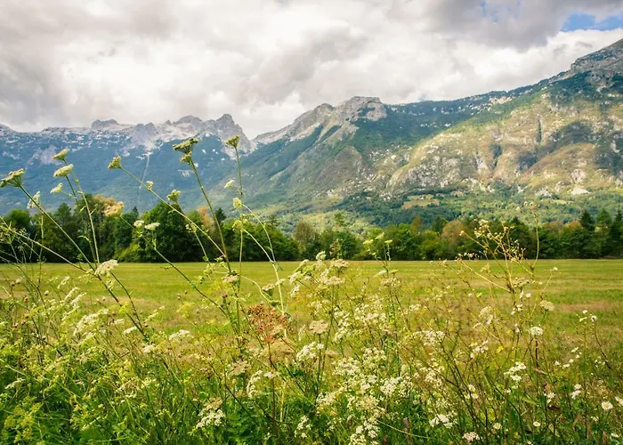 Wallas Apartment Bovec